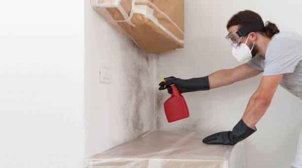 Professional Bathroom Mold Removal technician working in USA